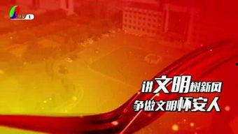 张家口同城最新爆料,揭秘同城热点事件背后的真相